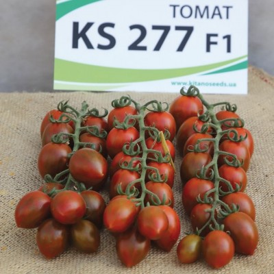 Семена томата KS 277 F1 ( 100 семян), Kitano, индетерминантный
